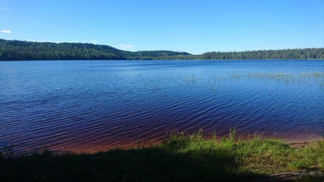 Loma-Laattaja Villa Hyrynsalmi Luaran gambar
